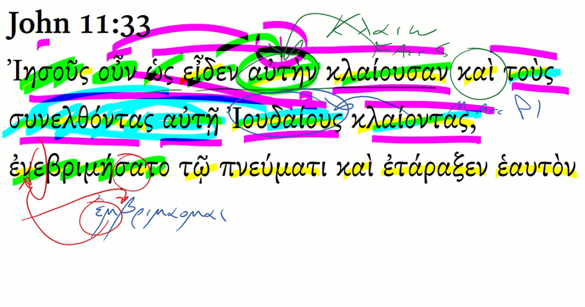john 11 33 greek
