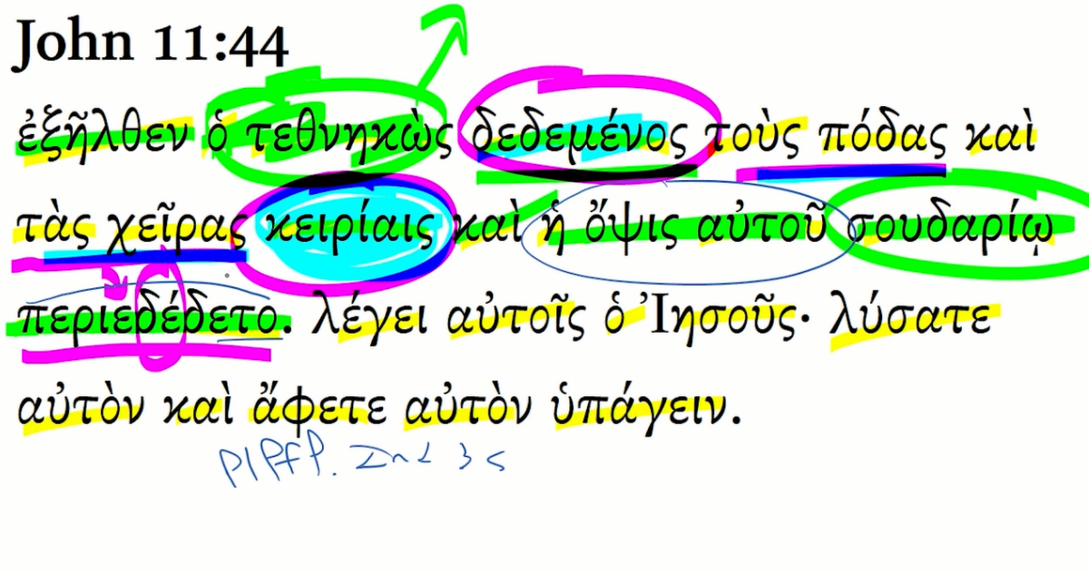 john 11 44 greek